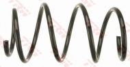 Пружина TRW JCS1005