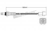Датчик WALKER PRODUCTS 250-24783