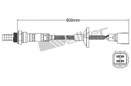 Датчик WALKER PRODUCTS 250-24839
