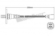 Датчик WALKER PRODUCTS 250-24361