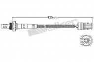 Датчик WALKER PRODUCTS 250-24445