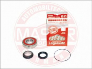 Комплект подшипника MASTER-SPORT 973-SET/6/-MS