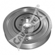Ременный шкив CAUTEX 010978
