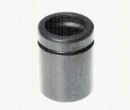 Поршень TRISCAN 8170 234233