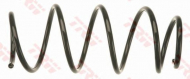 Пружина TRW JCS1007