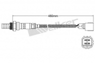 Датчик WALKER PRODUCTS 250-24305