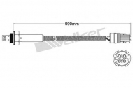 Датчик WALKER PRODUCTS 250-24810