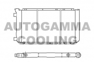 Теплообменник AUTOGAMMA 100033