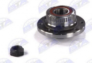 Комплект подшипника BTA H2F005BTA