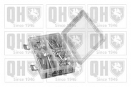 Комплект болтов QUINTON HAZELL QSK261S