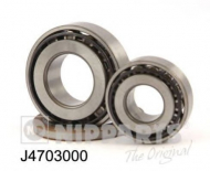 Комплект подшипника NIPPARTS J4703000