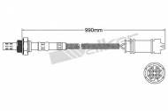Датчик WALKER PRODUCTS 250-24392