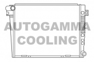 Теплообменник AUTOGAMMA 100135