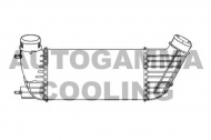 Теплообменник AUTOGAMMA 105253
