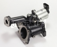Клапан STANDARD EGR249