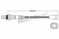 Датчик WALKER PRODUCTS 250-24068