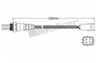Датчик WALKER PRODUCTS 250-24438
