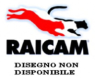 Комплект тормозных колодок RAICAM 940.1