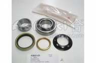 Комплект подшипника ASHUKI K803-01