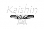 Кузов KAISHIN 96231418