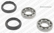 Комплект подшипника SNR R181.04