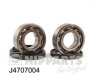 Комплект подшипника NIPPARTS J4707004