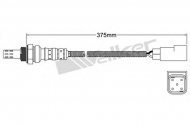 Датчик WALKER PRODUCTS 250-24015
