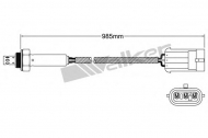 Датчик WALKER PRODUCTS 250-23816