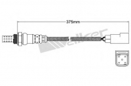 Датчик WALKER PRODUCTS 250-24283