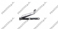 Шарнир PRASCO FT0173704