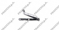 Шарнир PRASCO FT0193703