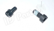 Болт IPS Parts IBU-5H17