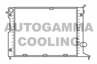 Теплообменник AUTOGAMMA 102241