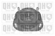 Подшипник QUINTON HAZELL EMR6069