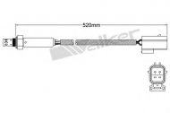 Датчик WALKER PRODUCTS 250-24804