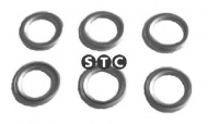 Уплотняющее кольцо STC T402050