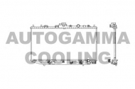 Теплообменник AUTOGAMMA 100420