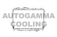 Теплообменник AUTOGAMMA 100502