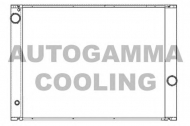 Теплообменник AUTOGAMMA 105531