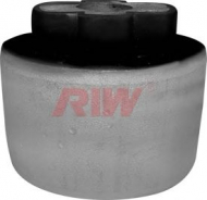 Подвеска RIW FI11037