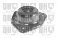 Подшипник QUINTON HAZELL EMR6052