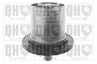Термостат QUINTON HAZELL QTH433K