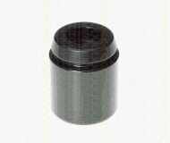 Поршень TRISCAN 8170 234231