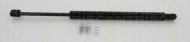 Газовая пружина TRISCAN 8710 80204
