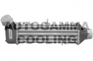 Теплообменник AUTOGAMMA 102407