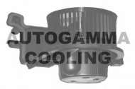 вентилятор AUTOGAMMA GA20342