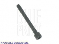 Комплект болтов BLUE PRINT ADG07801