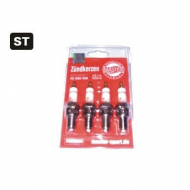 Свеча зажигания MASTER-SPORT BPR6E-ST-SET/4/MS