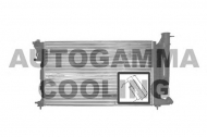 Теплообменник AUTOGAMMA 100212
