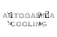 Теплообменник AUTOGAMMA 101653